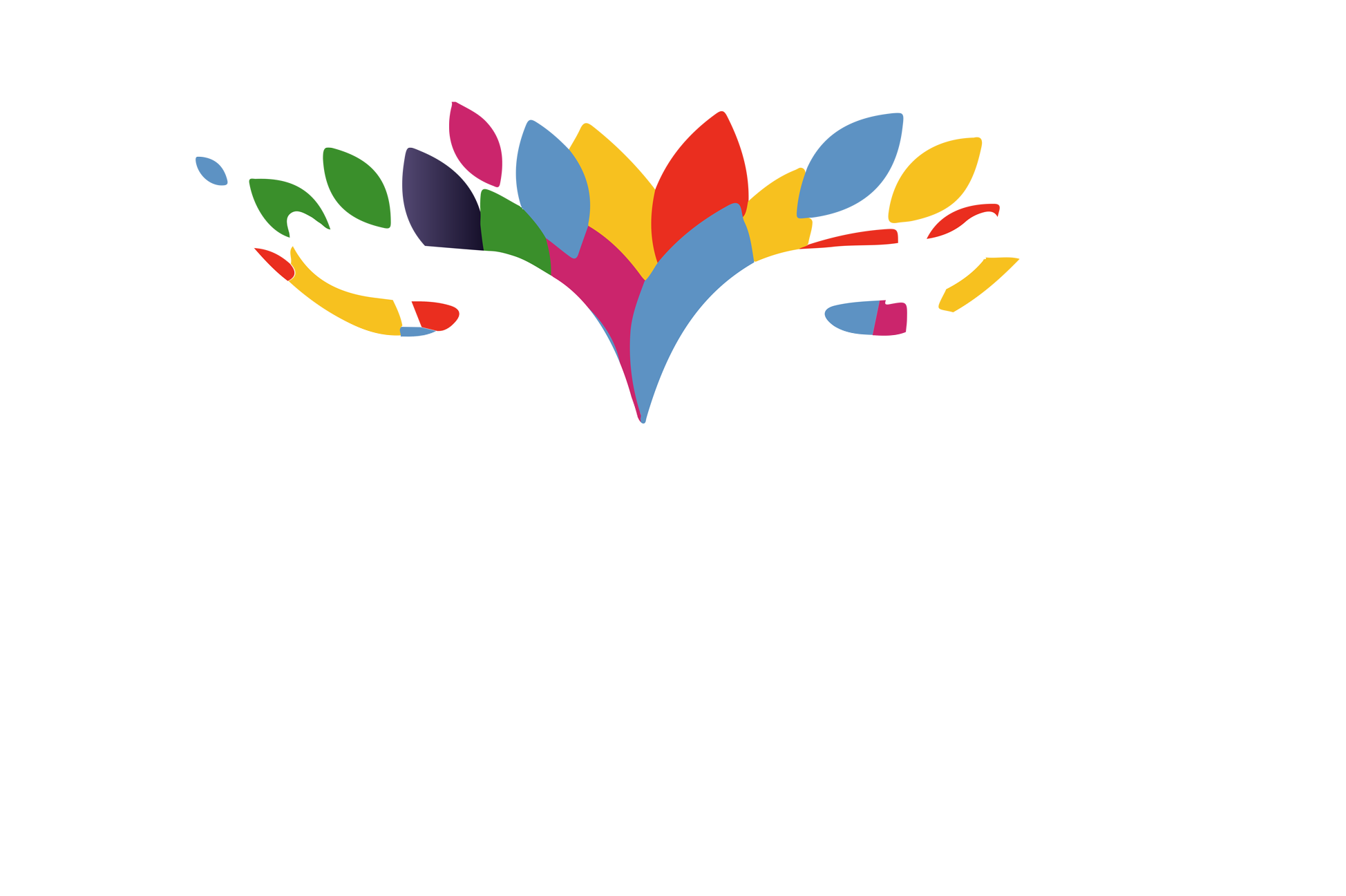 Anything Will Do Foundation